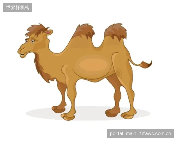 吉祥物“梅普尔”寓意坚韧，阿方索是加拿大能否创造奇迹的关键变量。